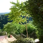 Flora דירה אופטיה