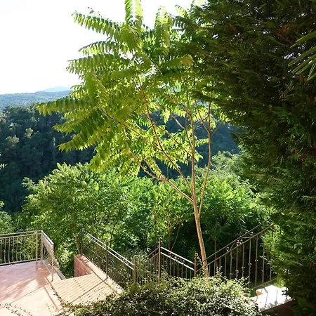 Flora Apartmán Opatija